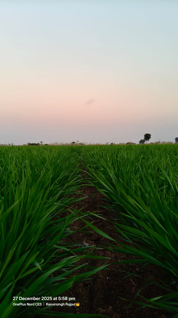 Farmer Image 1